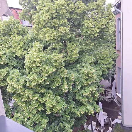 Апартаменти Spokojny 'maly Monciak' Na Monte Cassino, W Centrum I Blisko Do Morza *