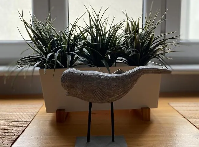 Apartment Spokojny 'maly Monciak' Na Monte Cassino, W Centrum I Blisko Do Morza Sopot