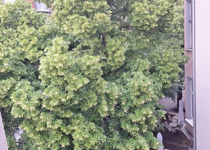 Apartment Spokojny 'maly Monciak' Na Monte Cassino, W Centrum I Blisko Do Morza *